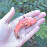 Wall Fish Pair in Orange with Gold Lustre Set #1