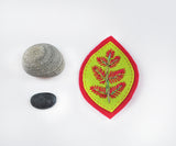 Embroidered Felt Brooch-- Hot Pink and Lime