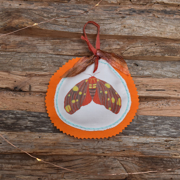 Animal Club Ornament:  Moth