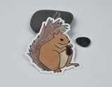 Squirrel Sticker 3x4" Cute Squirrel Drawing Indoor Outdoor Vinyl Sticker