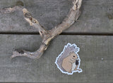 Squirrel Sticker 3x4" Cute Squirrel Drawing Indoor Outdoor Vinyl Sticker